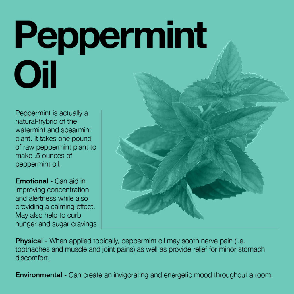 information about peppermint oil