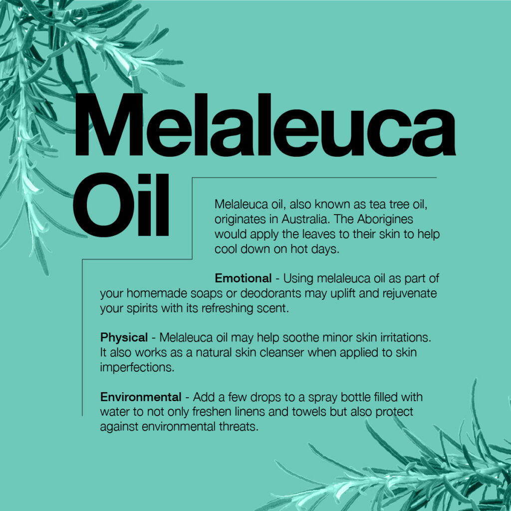 information about melaleuca oil