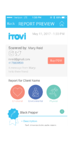 web-Report Preview-screen
