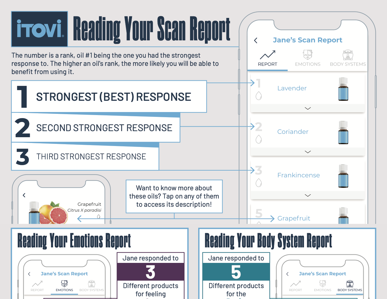 iTOVI Report Infographic