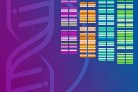 iTOVi_DNA iTOVi DNA