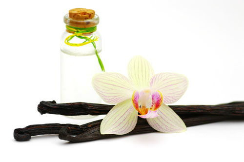 Vanilla-stick-with-oil-bottle